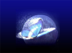 寂寞青山_交易师培训课程